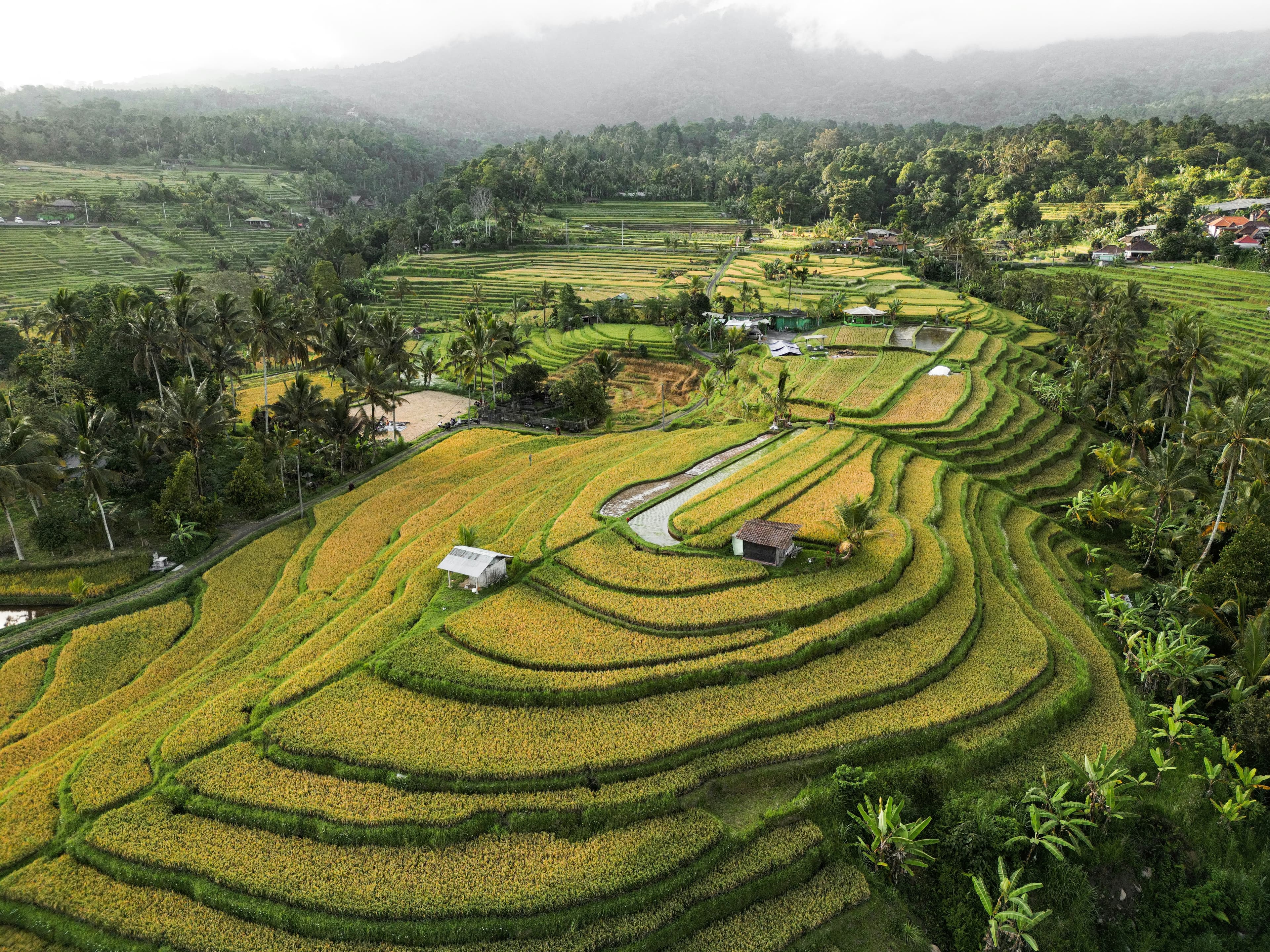 Arrival in Bali — Nusa Dua